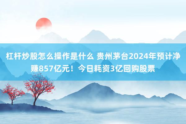 杠杆炒股怎么操作是什么 贵州茅台2024年预计净赚857亿元！今日耗资3亿回购股票