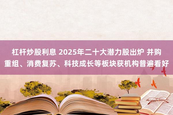 杠杆炒股利息 2025年二十大潜力股出炉 并购重组、消费复苏、科技成长等板块获机构普遍看好