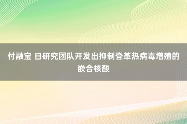 付融宝 日研究团队开发出抑制登革热病毒增殖的嵌合核酸