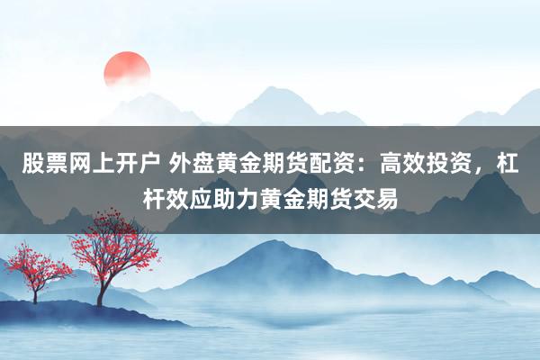 股票网上开户 外盘黄金期货配资：高效投资，杠杆效应助力黄金期货交易