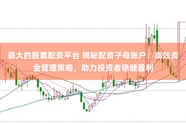 最大的股票配资平台 揭秘配资子母账户：高效资金管理策略，助力投资者稳健盈利