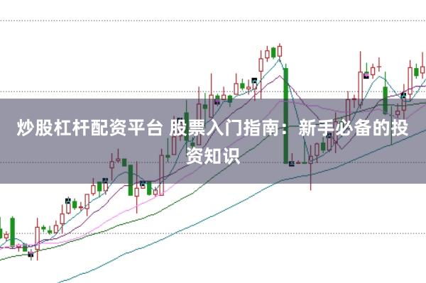 炒股杠杆配资平台 股票入门指南：新手必备的投资知识