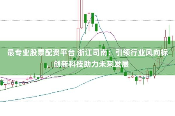 最专业股票配资平台 浙江司南：引领行业风向标，创新科技助力未来发展