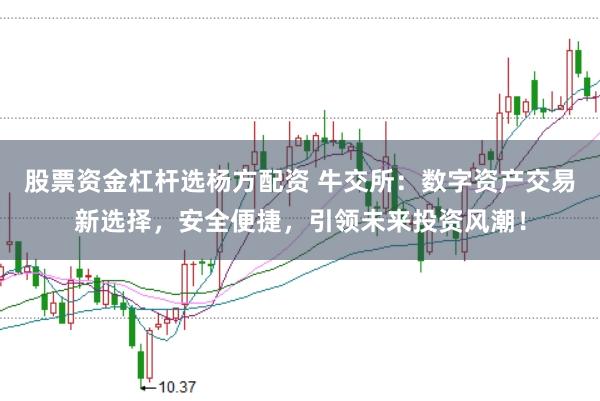 股票资金杠杆选杨方配资 牛交所：数字资产交易新选择，安全便捷，引领未来投资风潮！