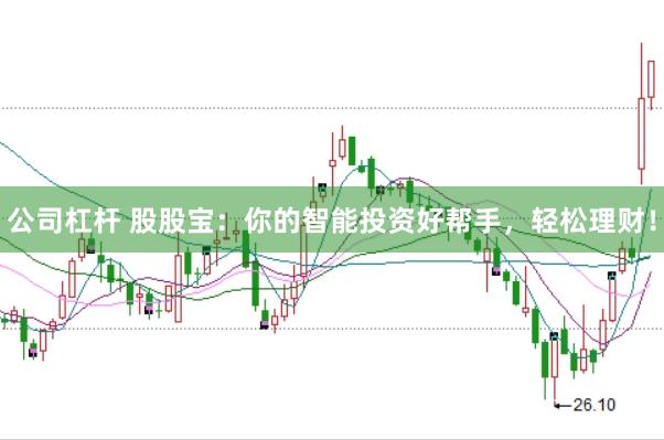公司杠杆 股股宝：你的智能投资好帮手，轻松理财！
