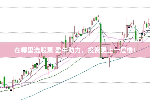 在哪里选股票 盈牛助力，投资更上一层楼！
