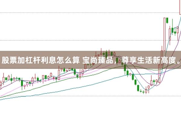 股票加杠杆利息怎么算 宝尚臻品，尊享生活新高度。