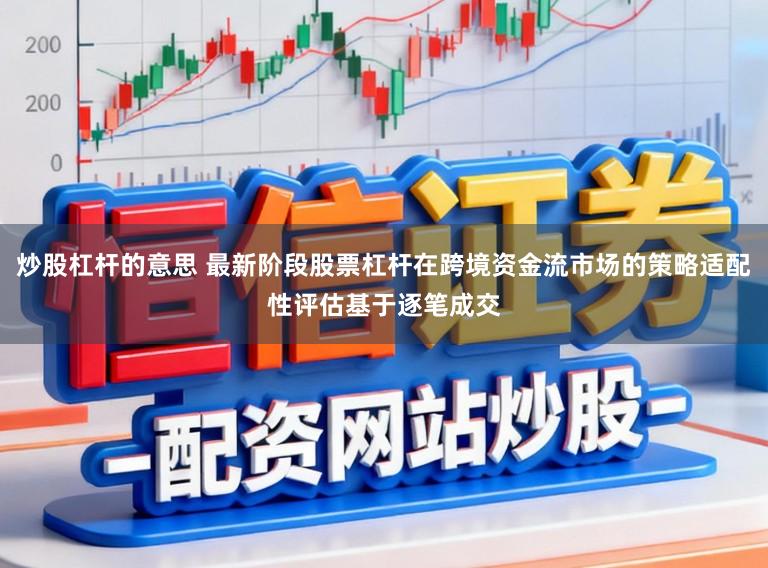 炒股杠杆的意思 最新阶段股票杠杆在跨境资金流市场的策略适配性评估基于逐笔成交