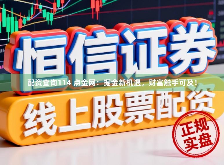 配资查询114 点金网：掘金新机遇，财富触手可及！